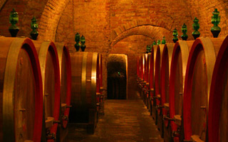 Wine cellar